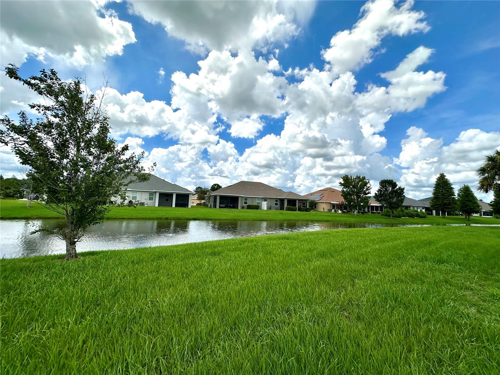 4247 ANGELICA LOOP — photo 48