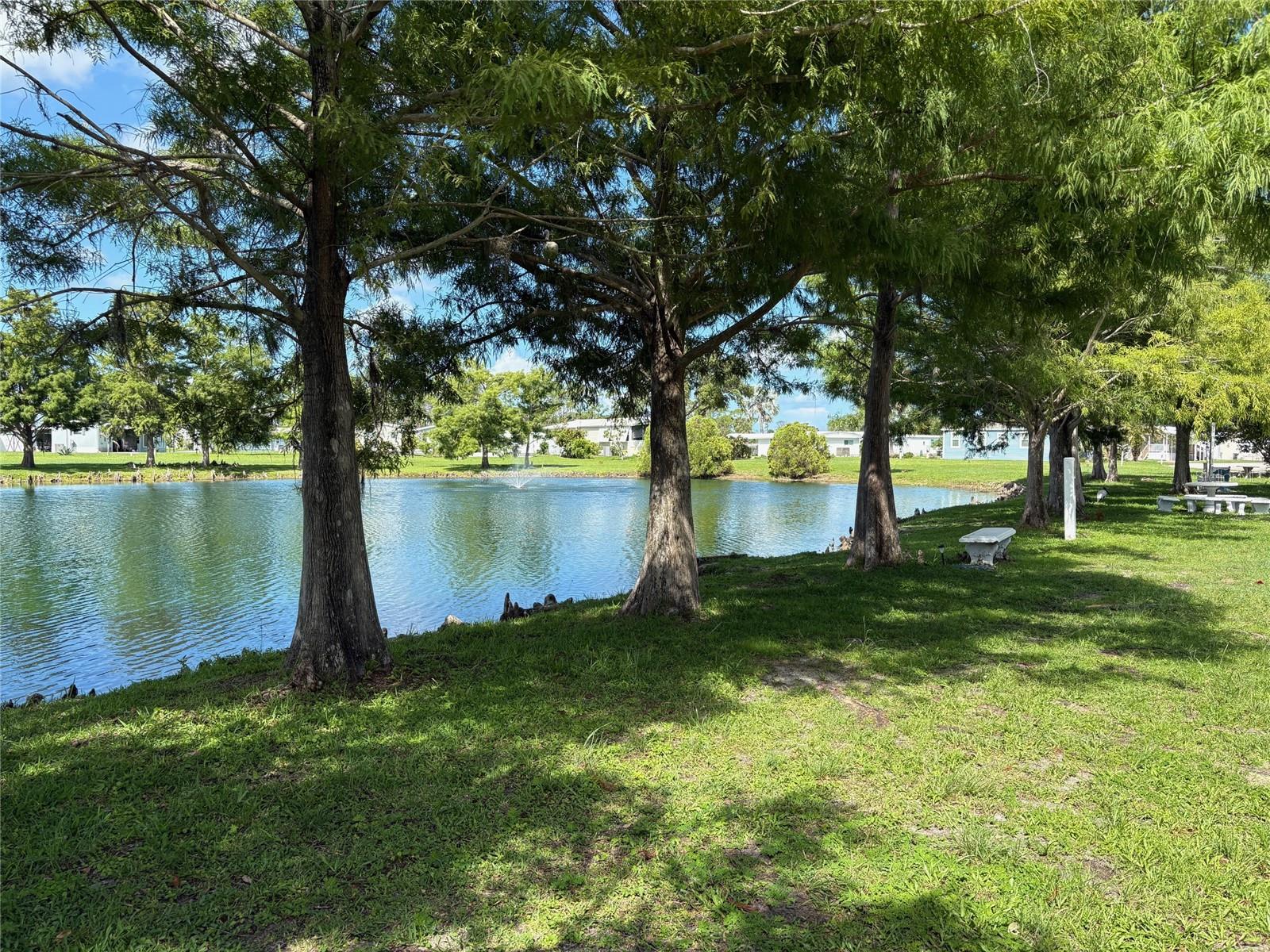 6562 HIKINA DR — photo 37