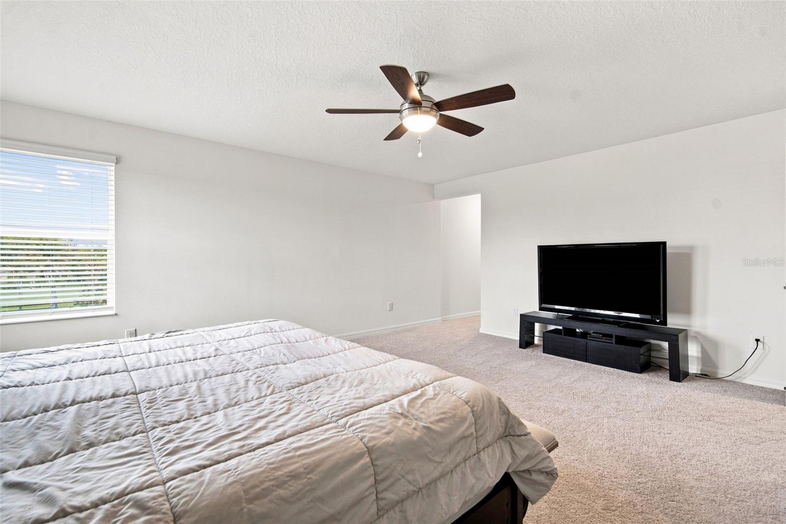 6473 BURNING OPAL BND — photo 35