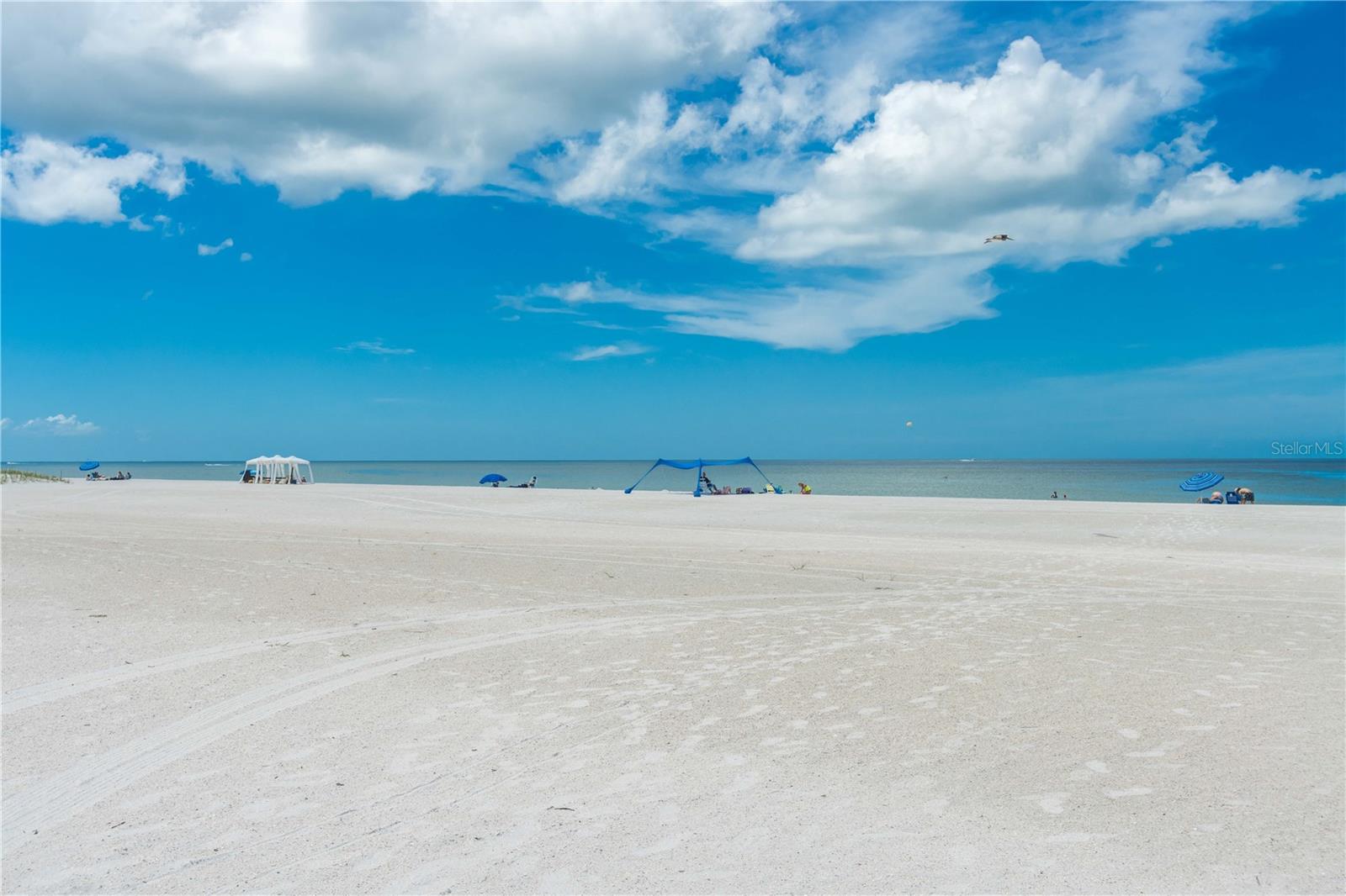 11605 GULF BLVD #503 — photo 3