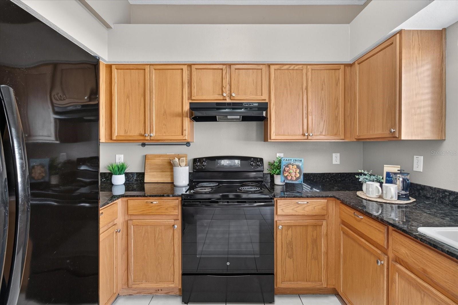 11306 PELICAN LAKE CT — photo 5