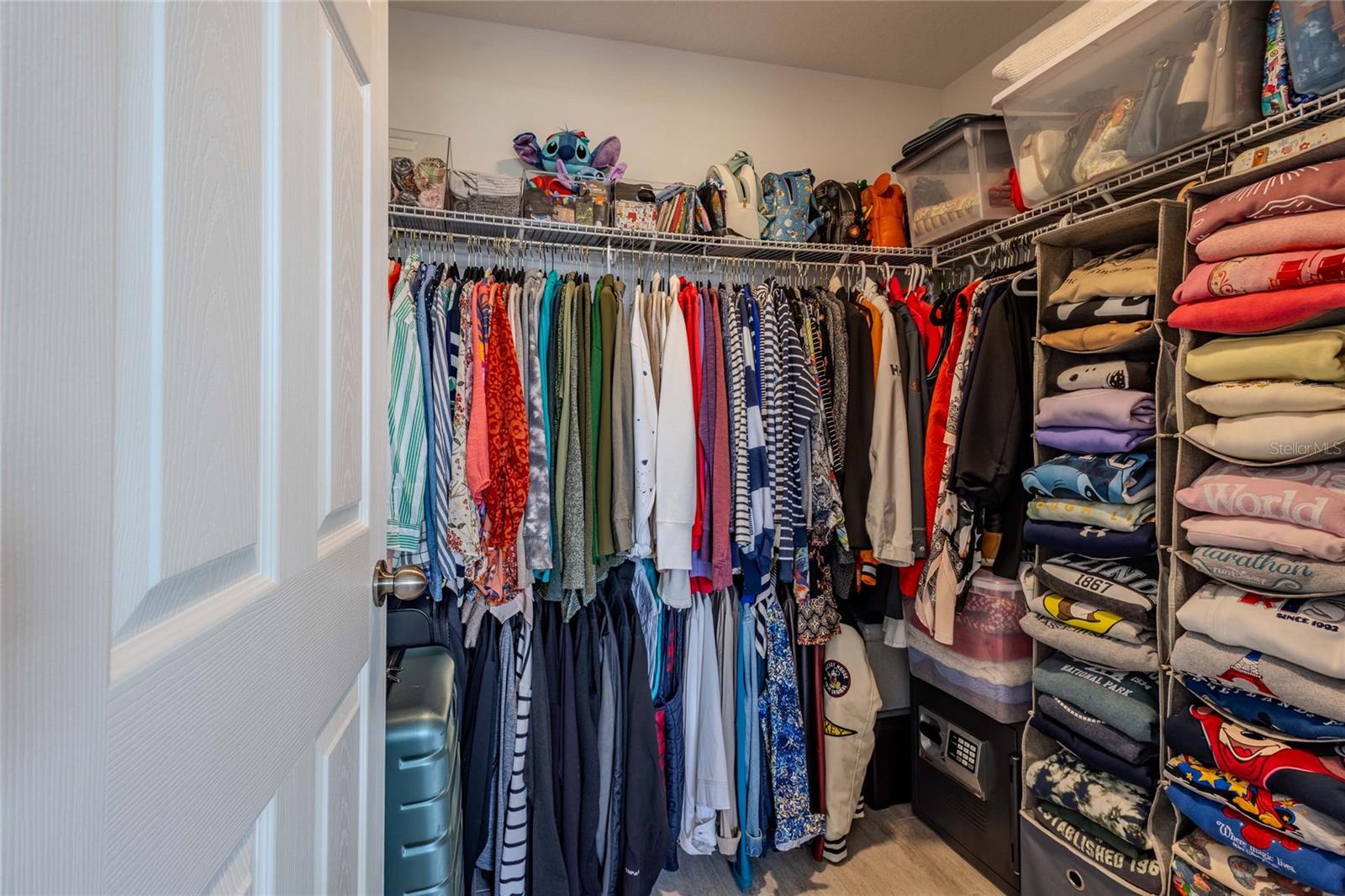 3195 KING FERN DR — photo 49