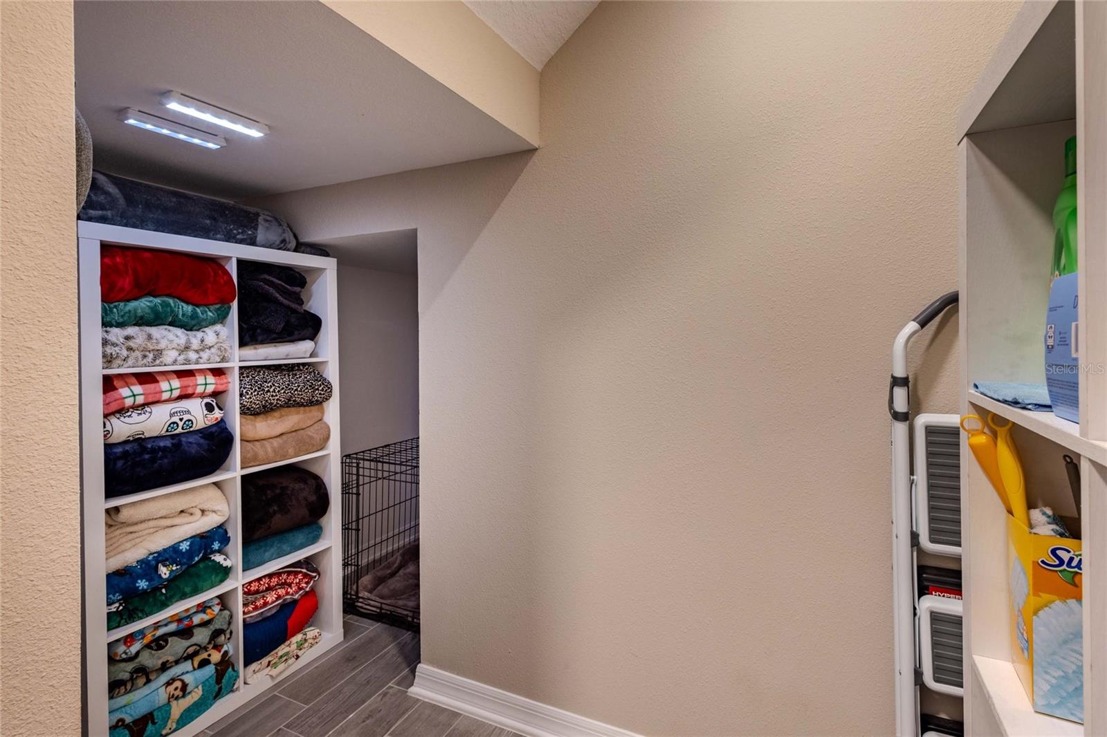 3195 KING FERN DR — photo 63