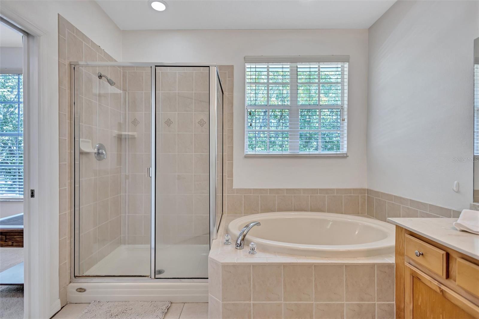 14511 MIRABELLE VISTA CIR — photo 24