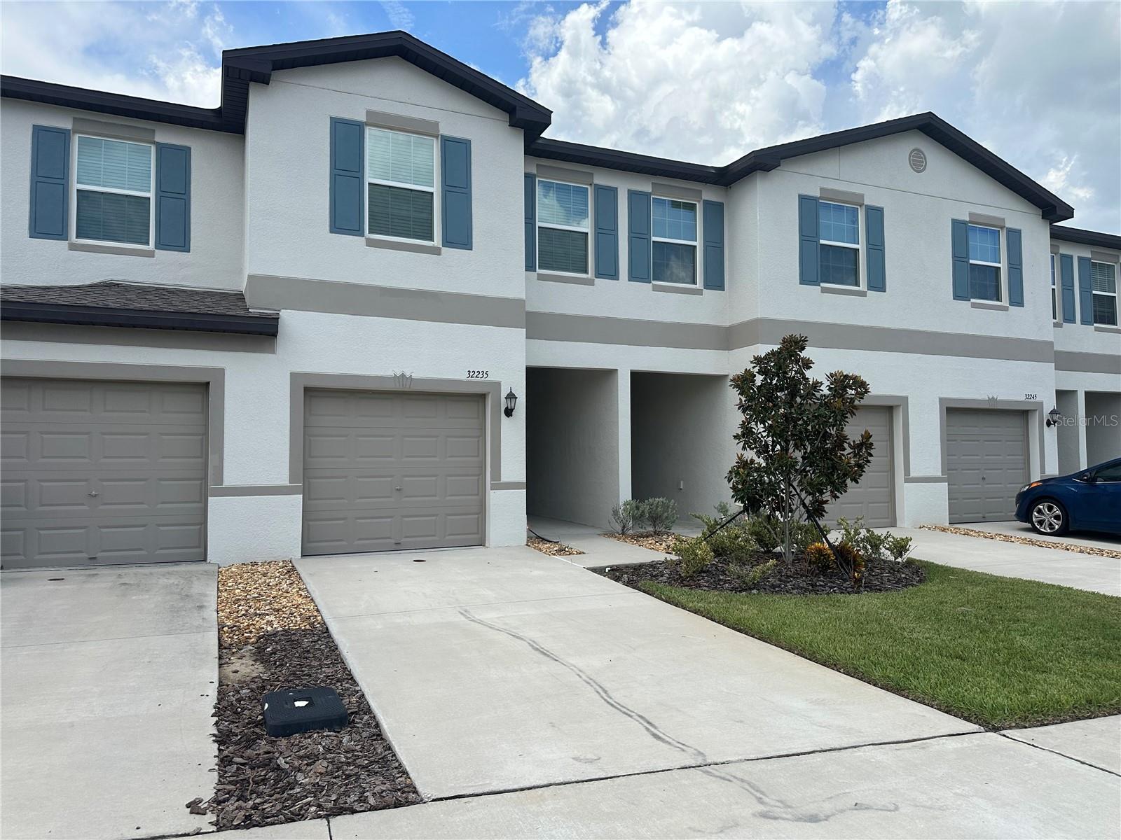32235 POWDERPUFF MIMOSA DR — photo 53