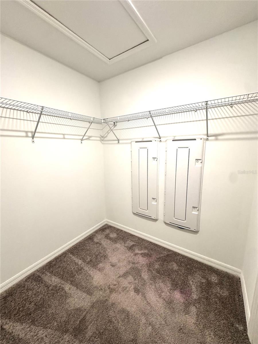 32235 POWDERPUFF MIMOSA DR — photo 34