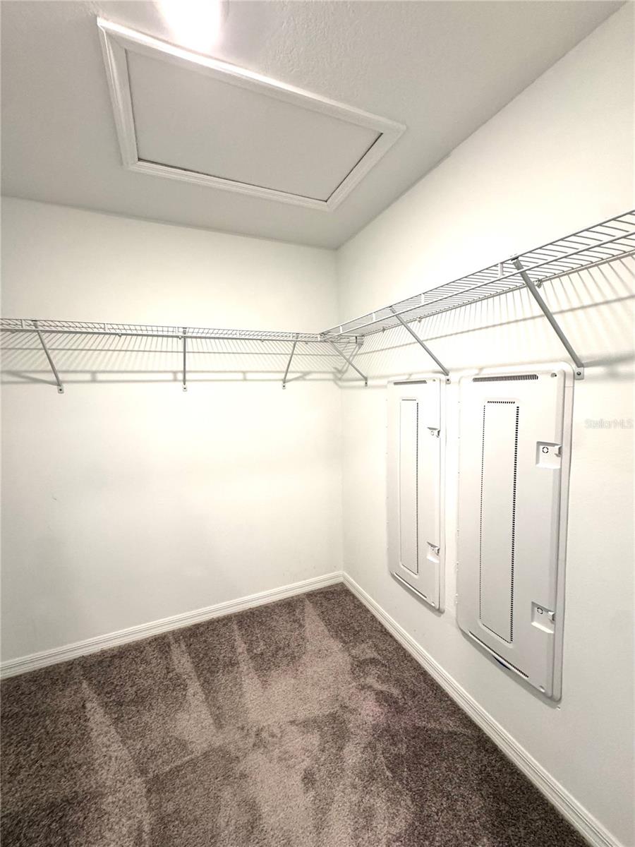 32235 POWDERPUFF MIMOSA DR — photo 32