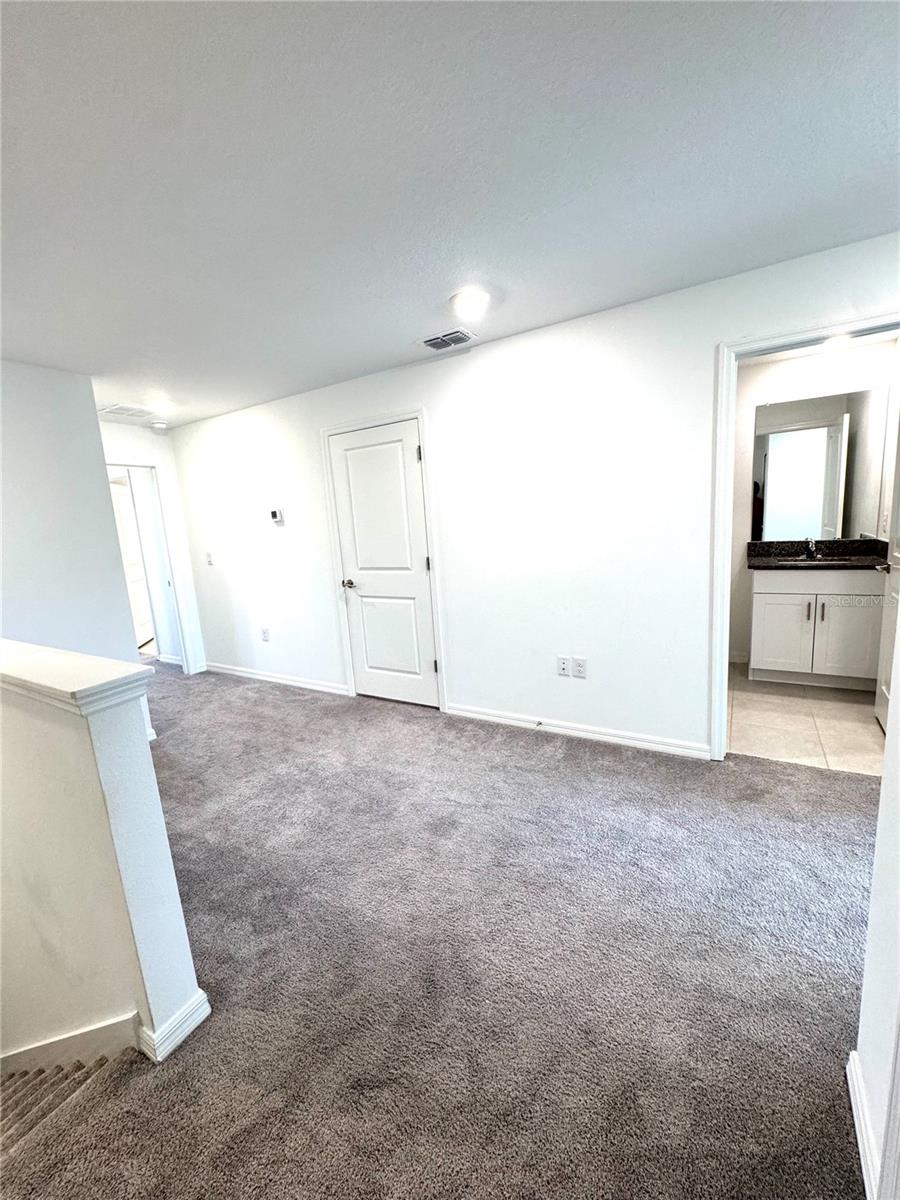 32235 POWDERPUFF MIMOSA DR — photo 14