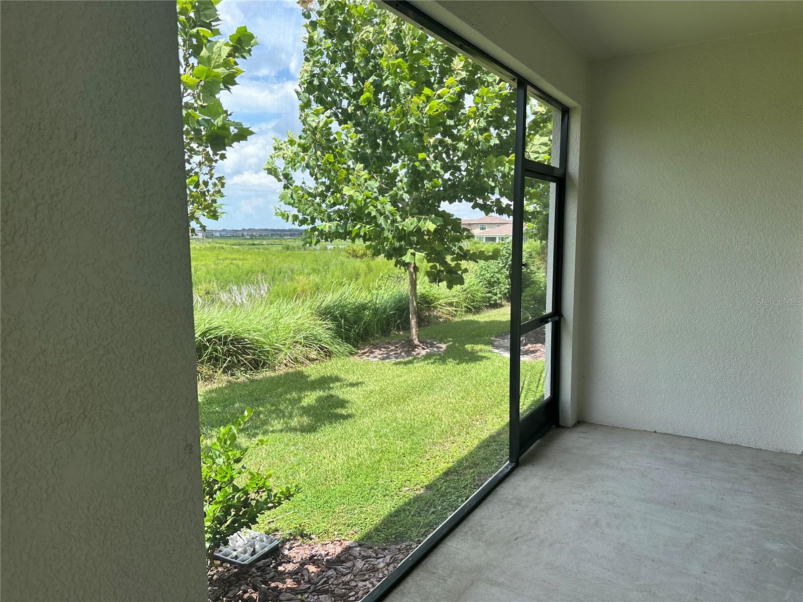 32235 POWDERPUFF MIMOSA DR — photo 46