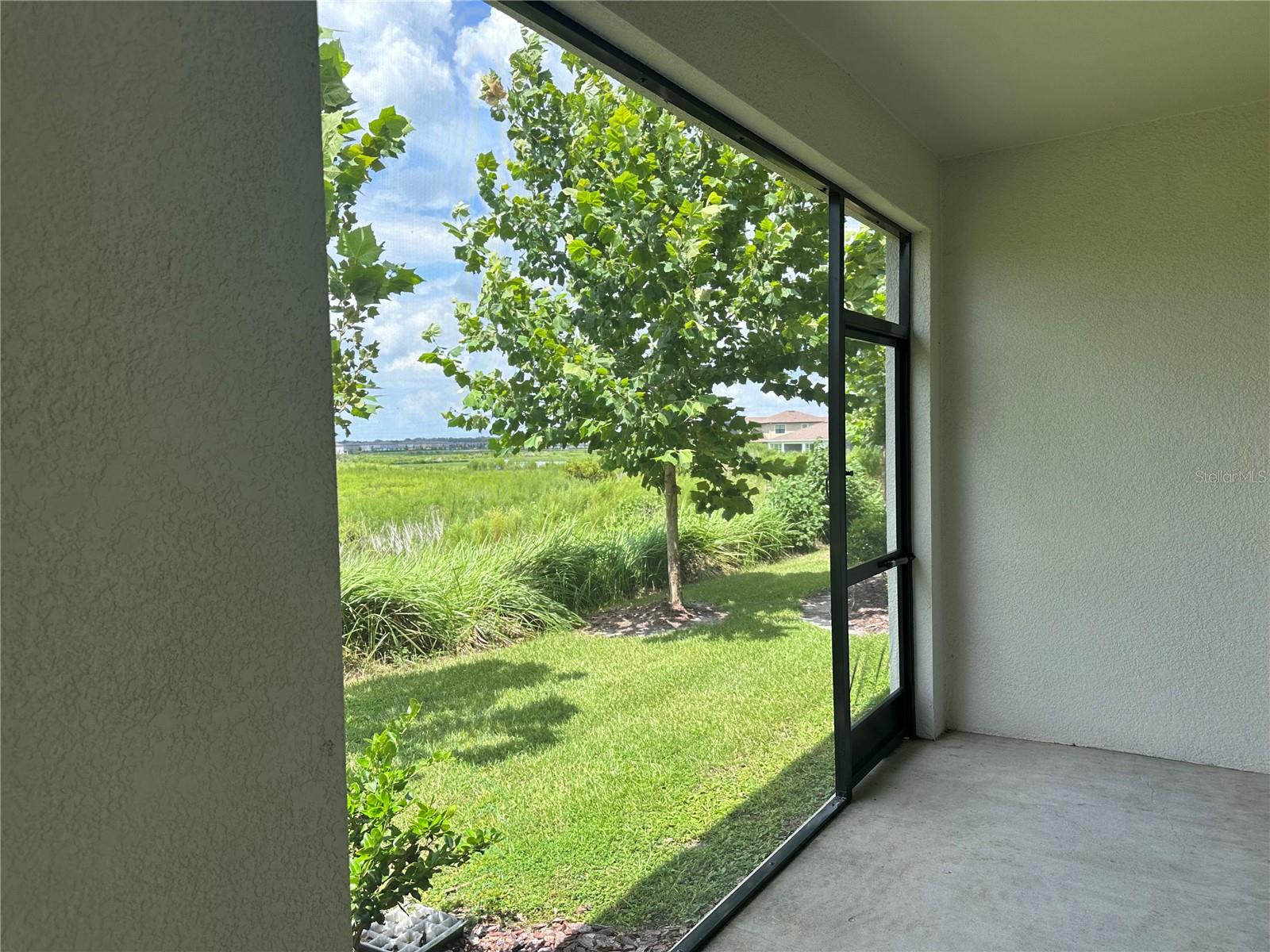 32235 POWDERPUFF MIMOSA DR — photo 45