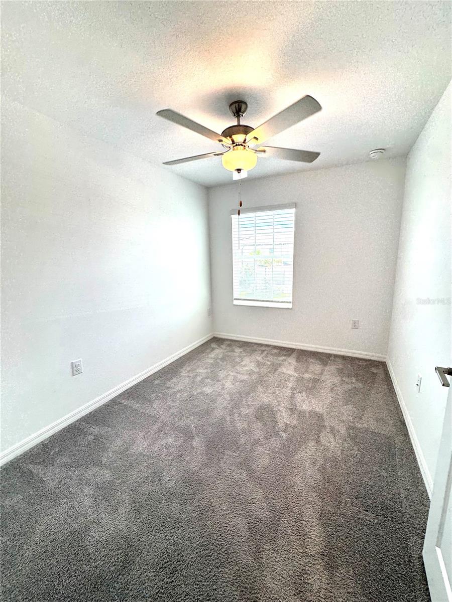 32235 POWDERPUFF MIMOSA DR — photo 29