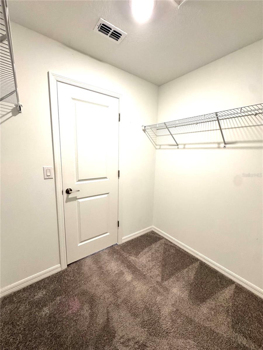 32235 POWDERPUFF MIMOSA DR — photo 33