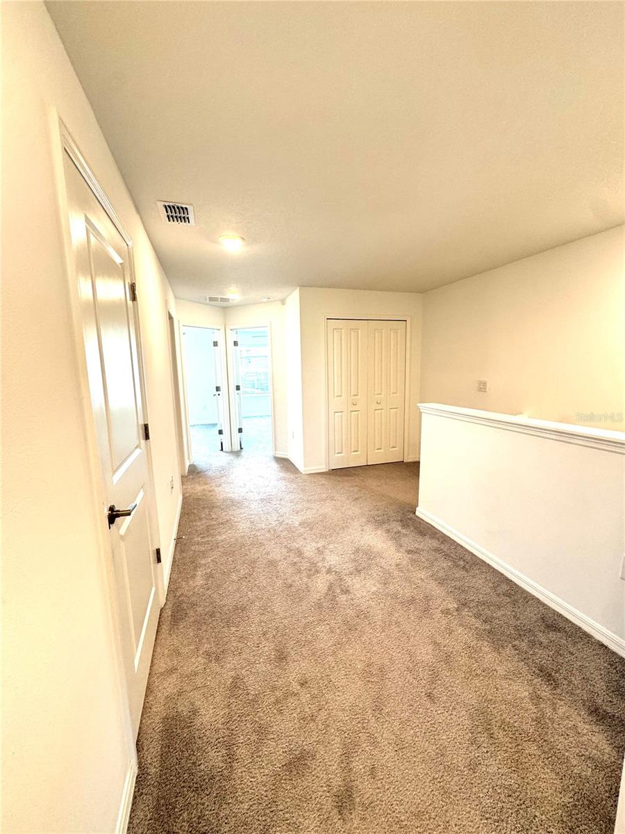 32235 POWDERPUFF MIMOSA DR — photo 15