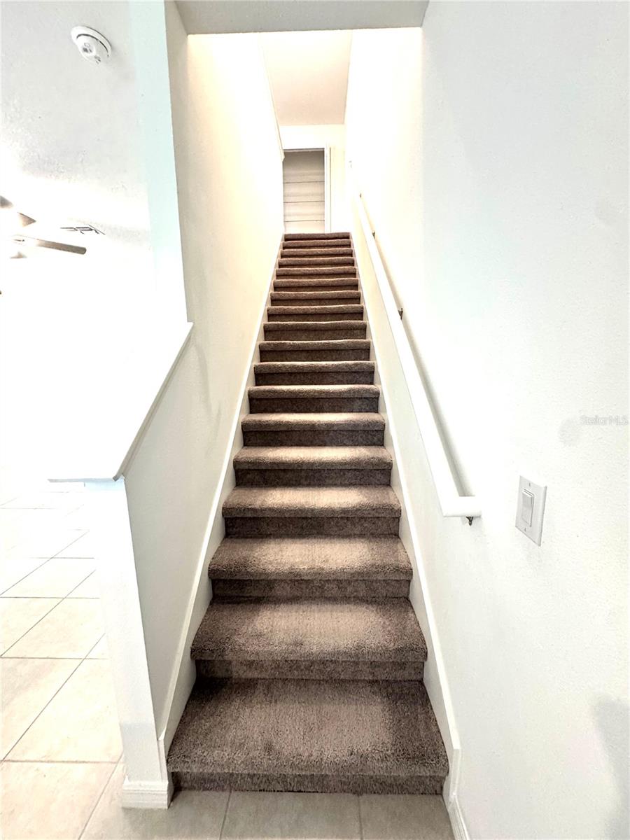 32235 POWDERPUFF MIMOSA DR — photo 13