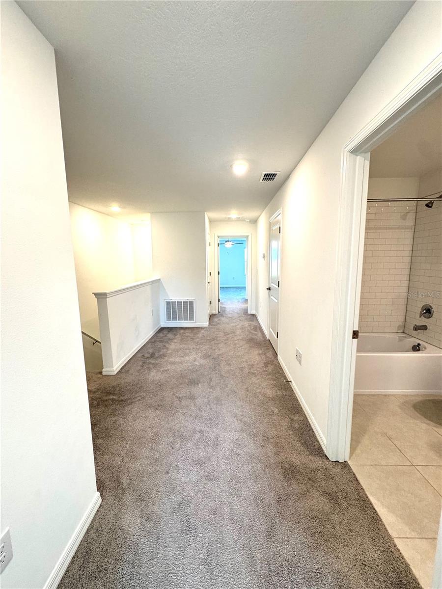 32235 POWDERPUFF MIMOSA DR — photo 16