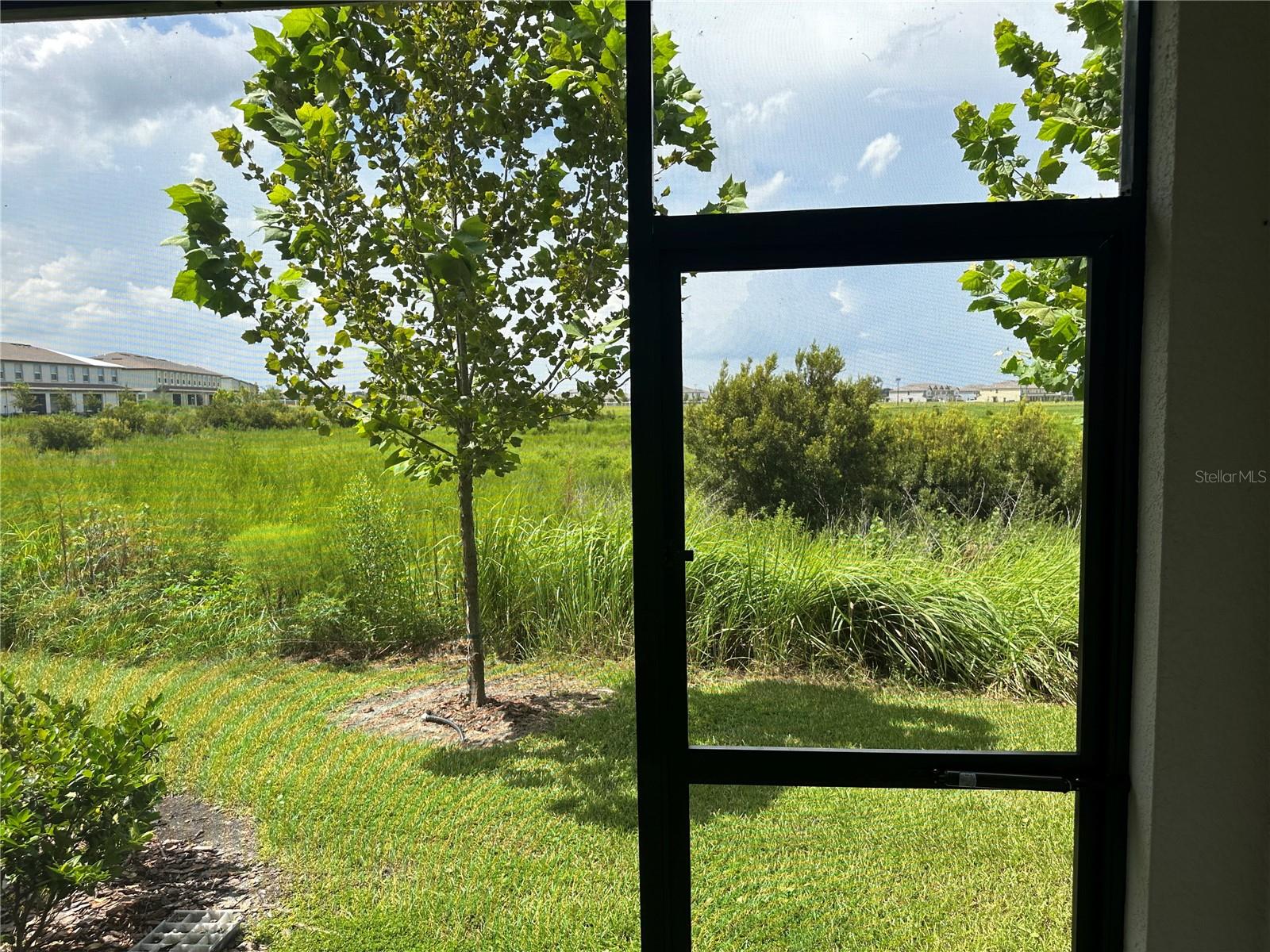 32235 POWDERPUFF MIMOSA DR — photo 44
