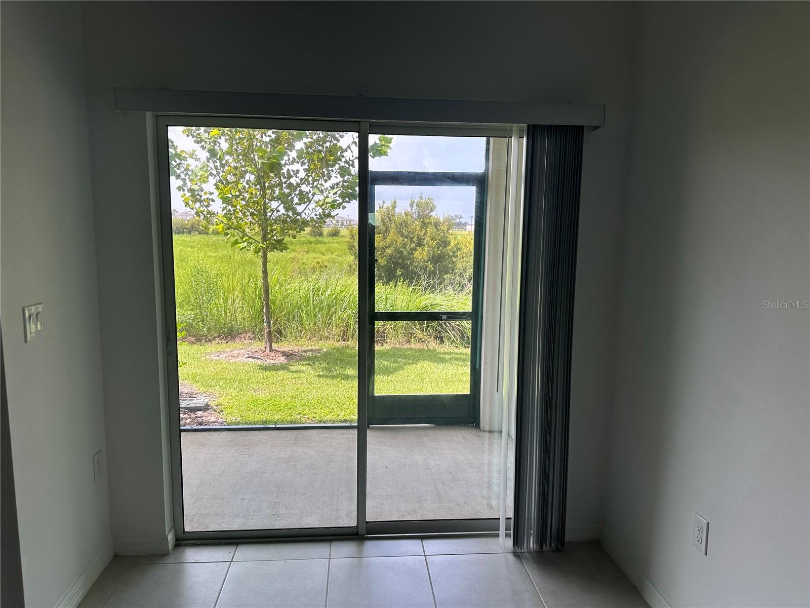 32235 POWDERPUFF MIMOSA DR — photo 43