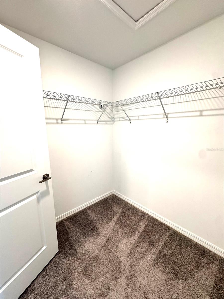 32235 POWDERPUFF MIMOSA DR — photo 31