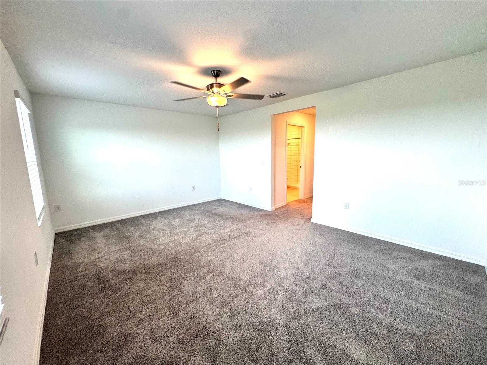32235 POWDERPUFF MIMOSA DR — photo 23