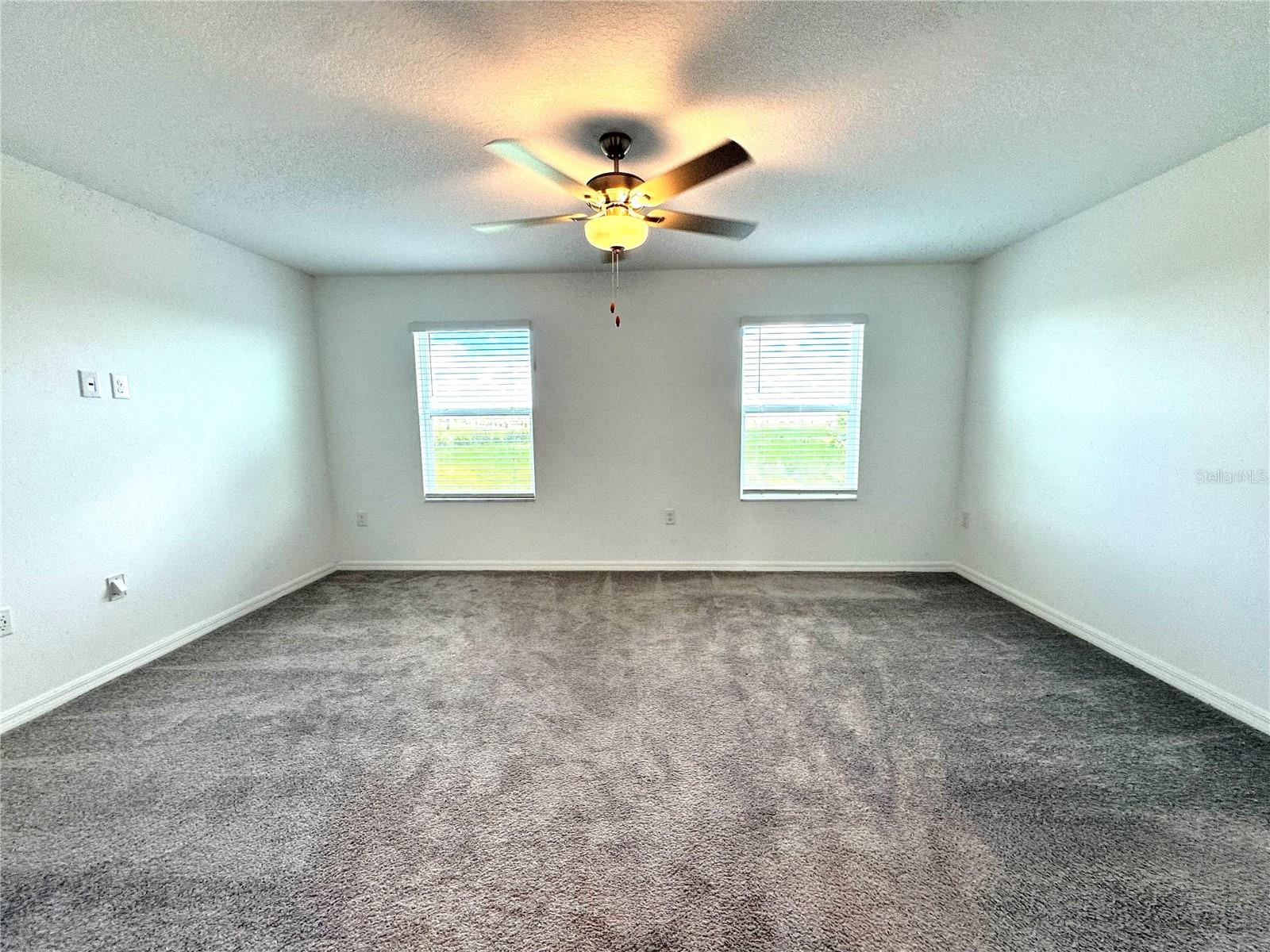 32235 POWDERPUFF MIMOSA DR — photo 18