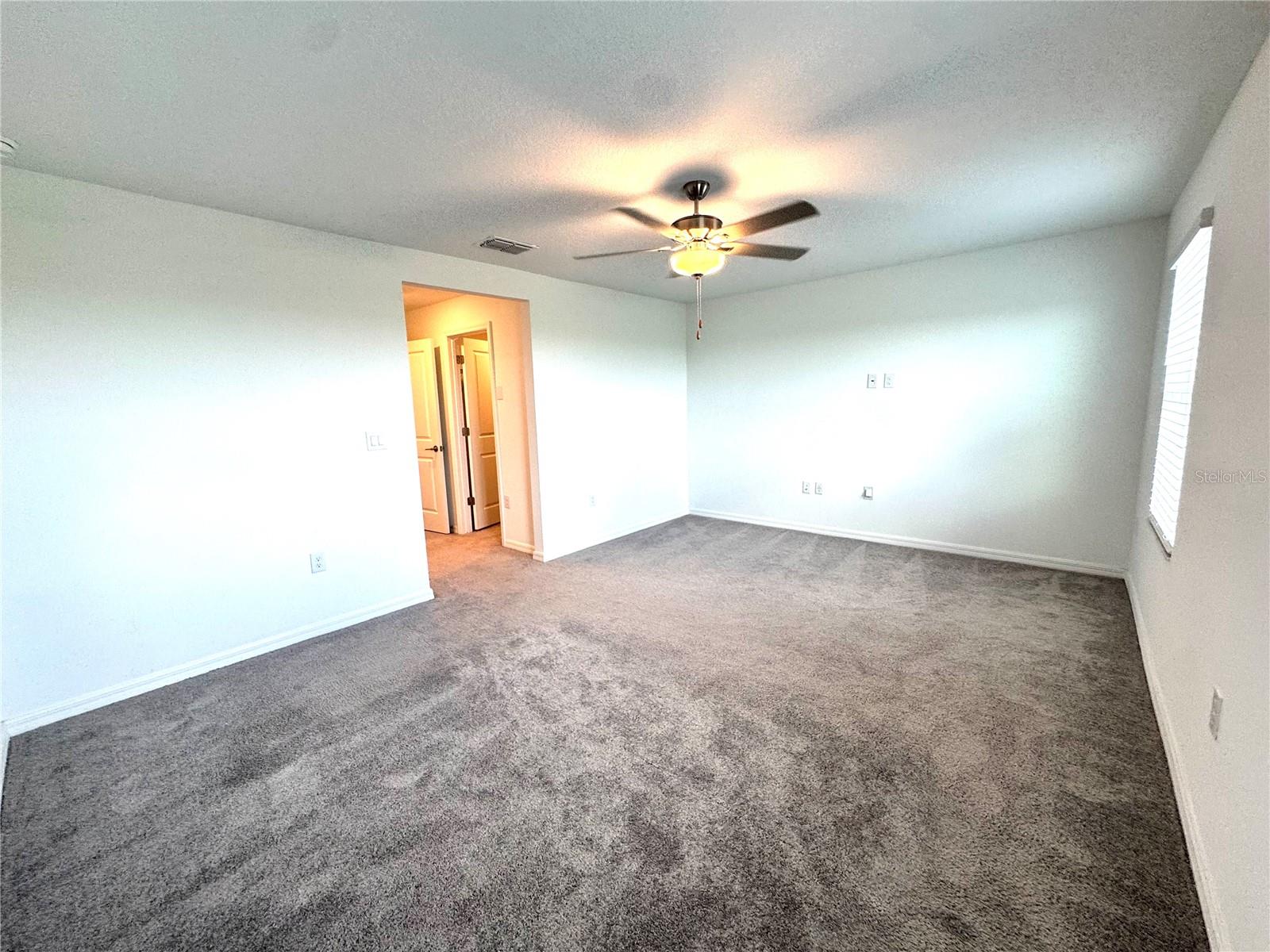32235 POWDERPUFF MIMOSA DR — photo 20
