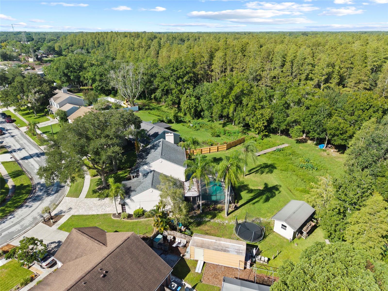 16126 COUNTRY CROSSING DR — photo 59