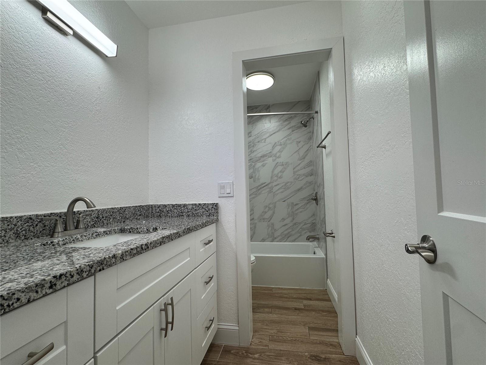 264 VAN GOGH CIR — photo 21