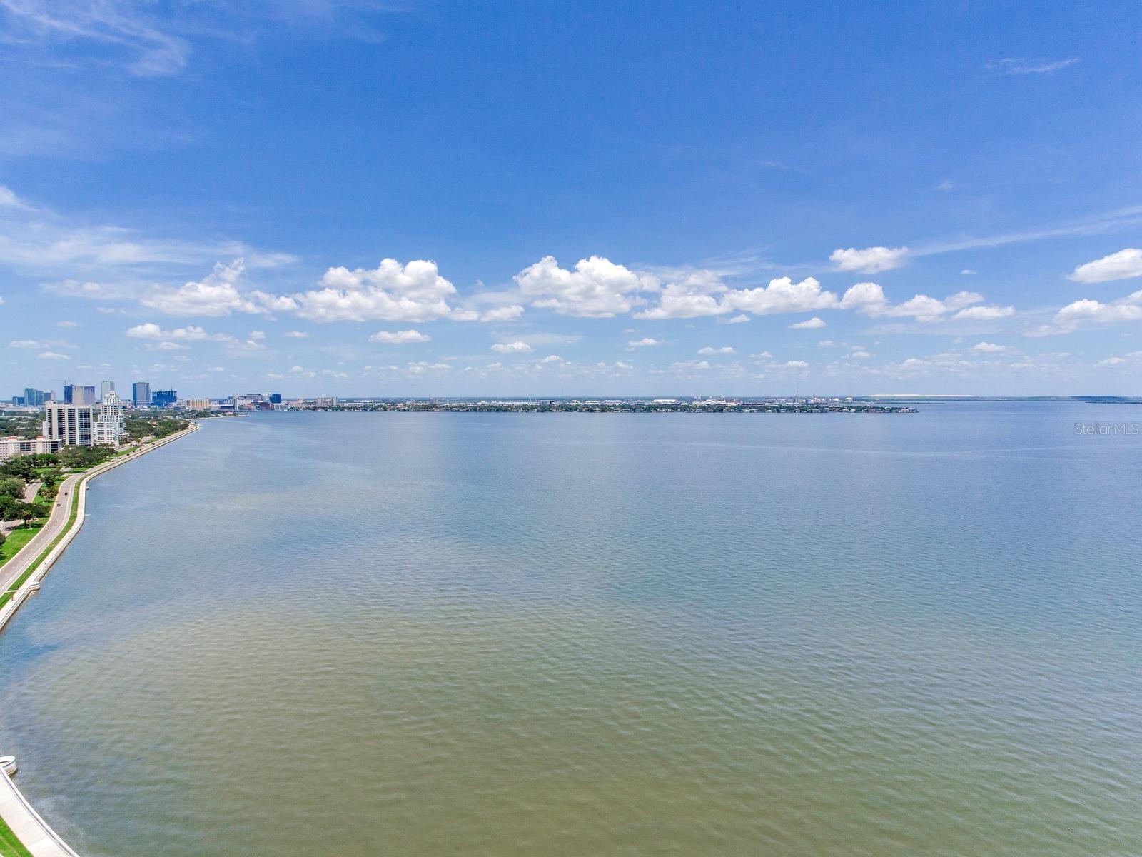 3101 W BAYSHORE BLVD #2304 — photo 34