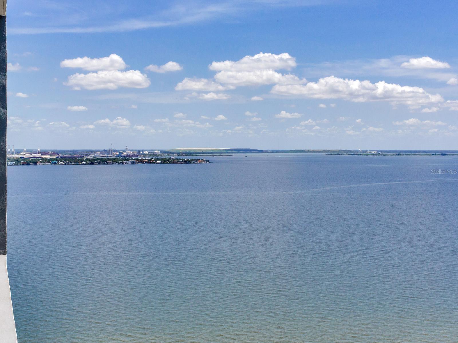 3101 W BAYSHORE BLVD #2304 — photo 33