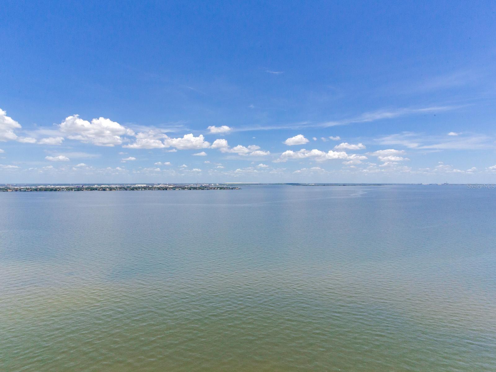3101 W BAYSHORE BLVD #2304 — photo 36