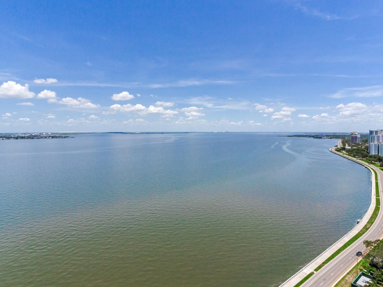 3101 W BAYSHORE BLVD #2304 — photo 35