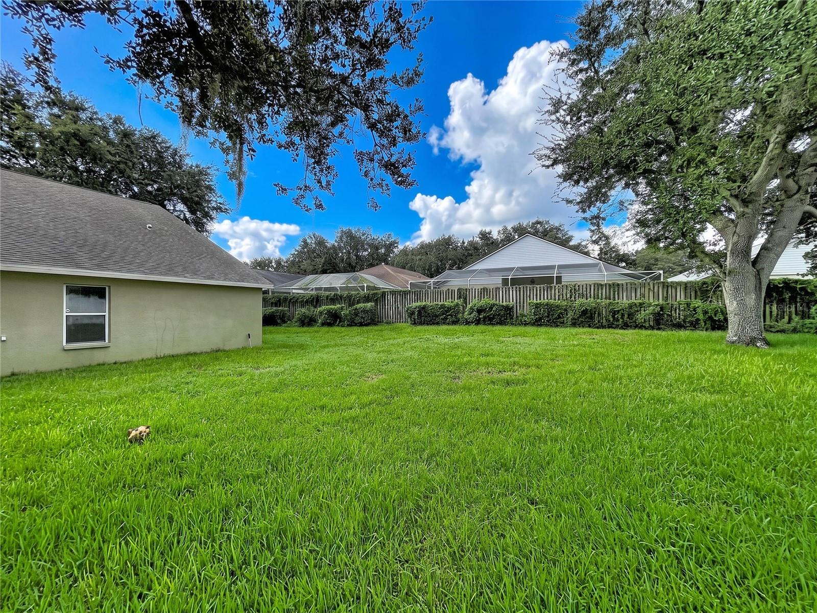 1124 SPLIT SILK ST — photo 5