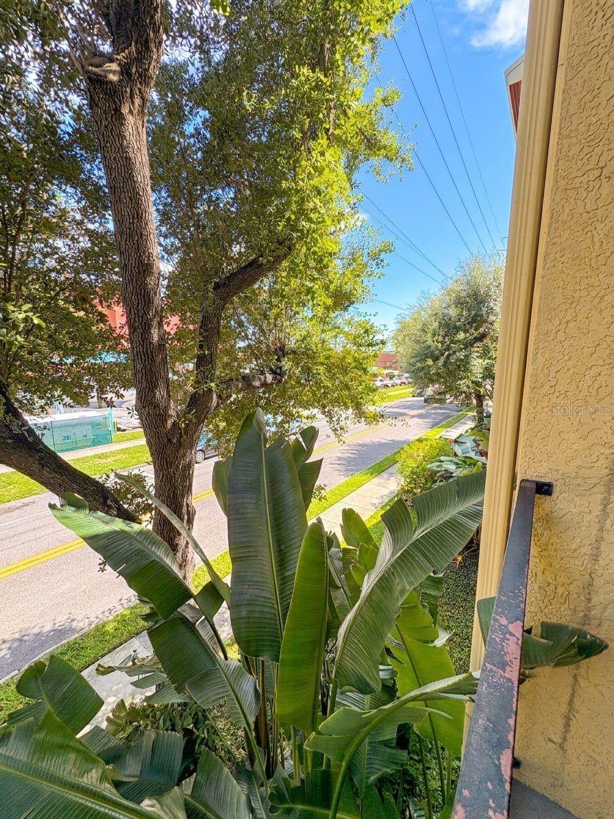 1810 E PALM AVE #5208 — photo 22
