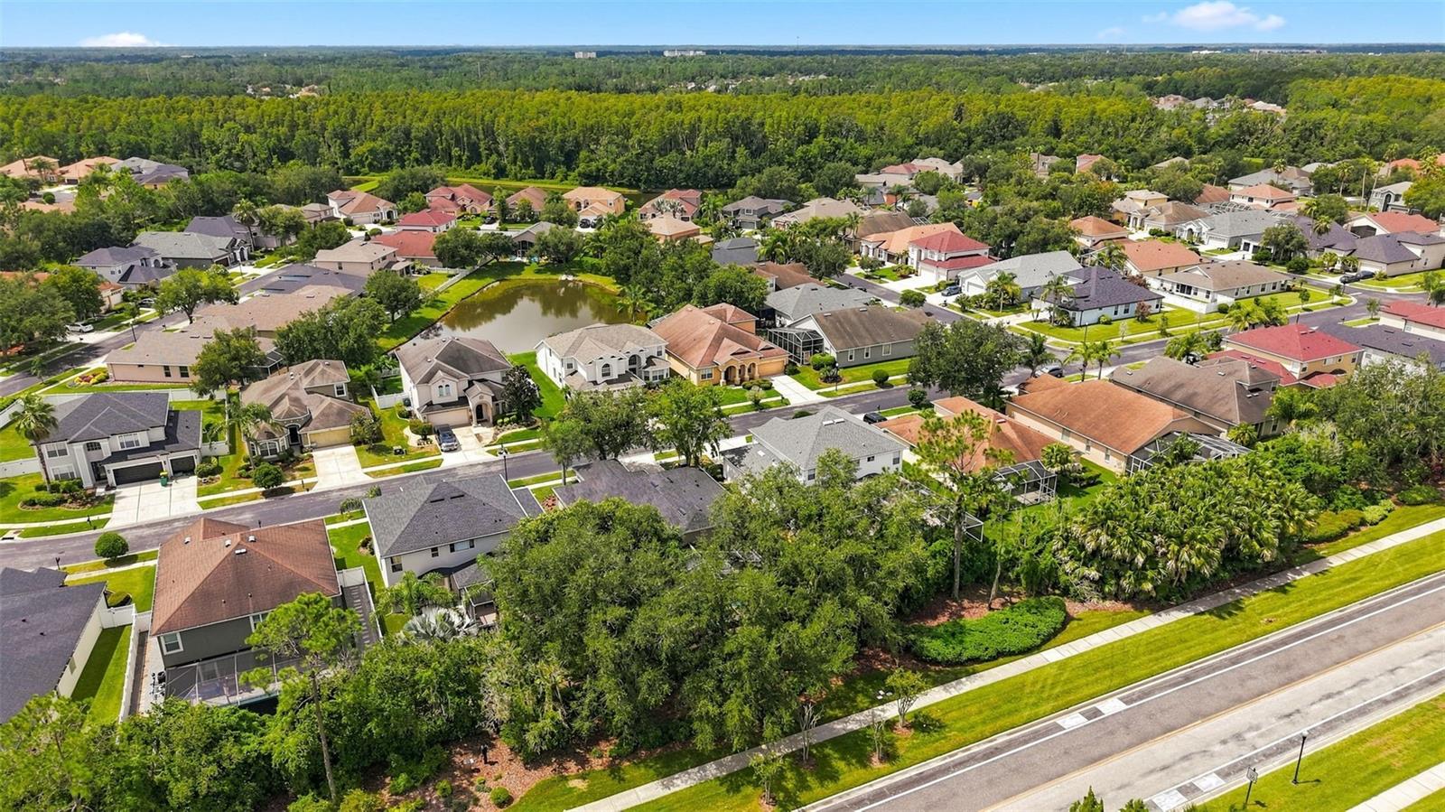 27417 SILVER THATCH DR — photo 54