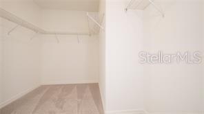11142 RADIANT SHORE LOOP — photo 20