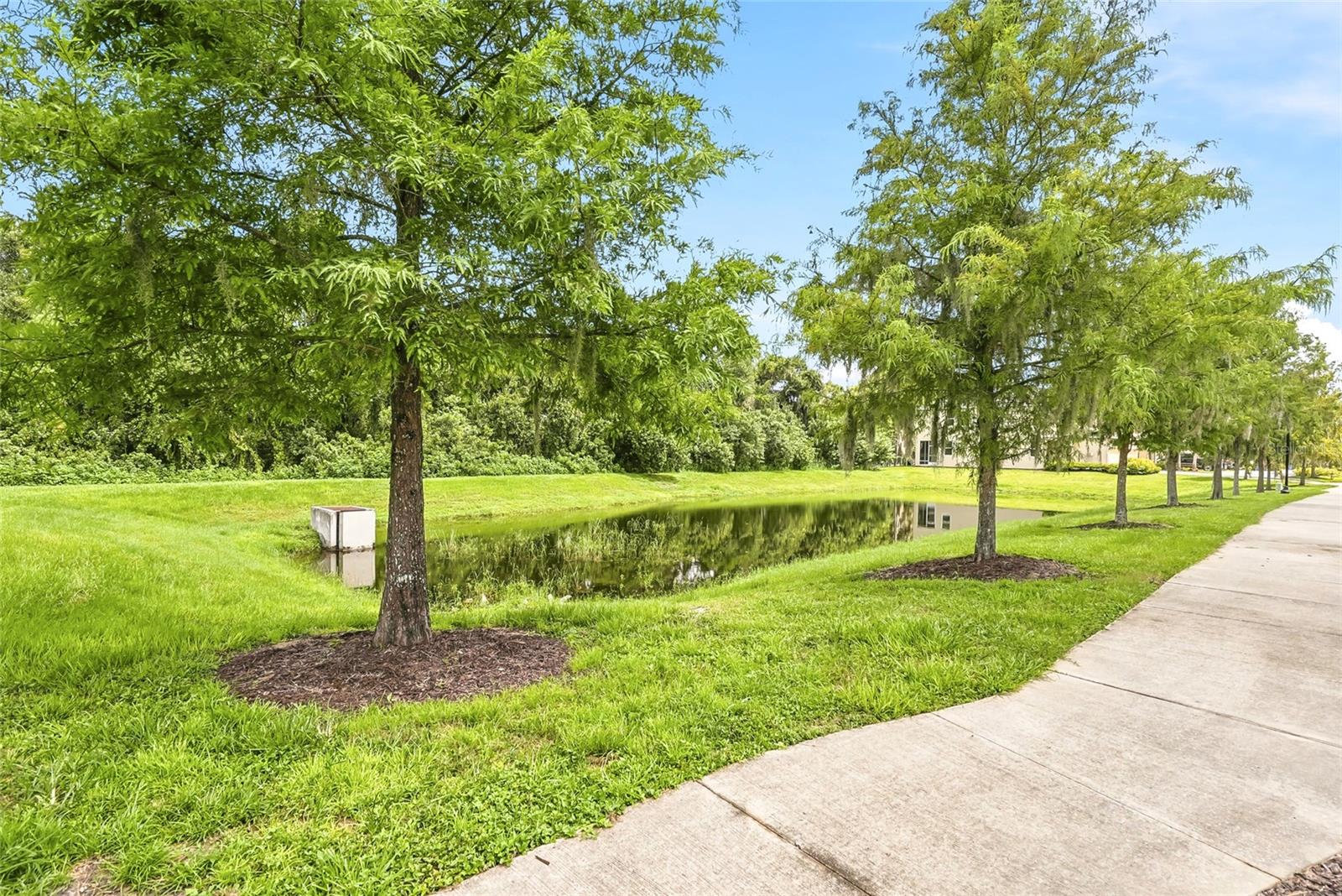 13105 CANOPY CREEK DR — photo 44
