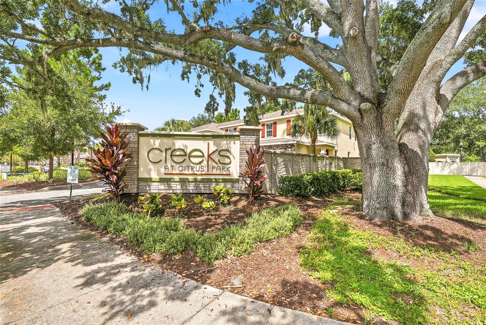 13105 CANOPY CREEK DR — photo 46