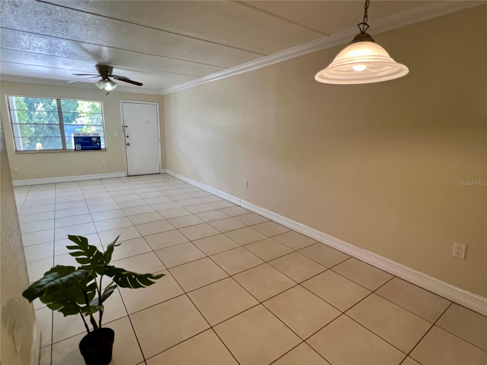 5221 BAYSHORE BLVD #29 — photo 6