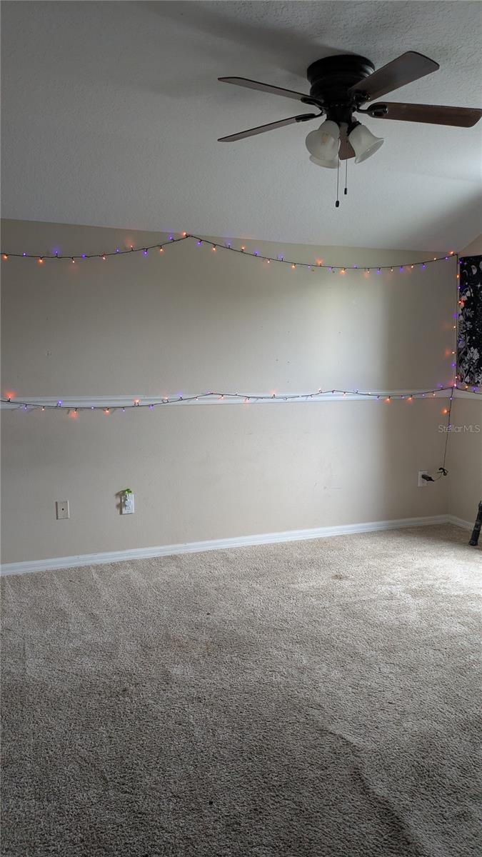 11731 MANGO CROSS CT — photo 11