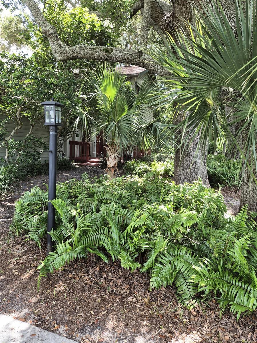 9913 W BAY ST — photo 5