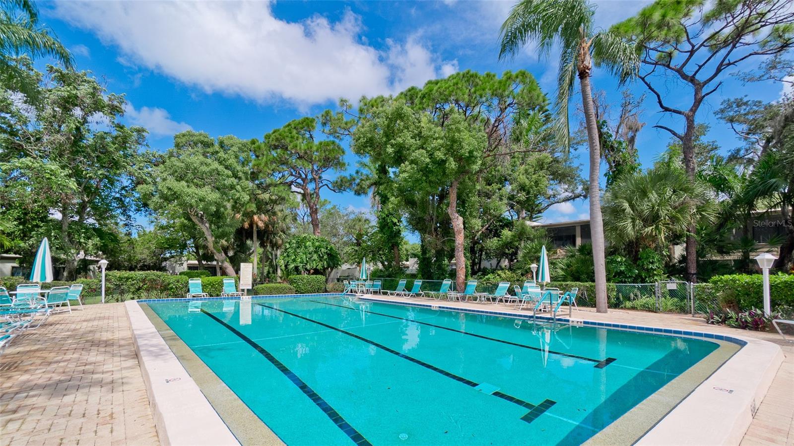 401 PALM TREE DR #N/A — photo 43