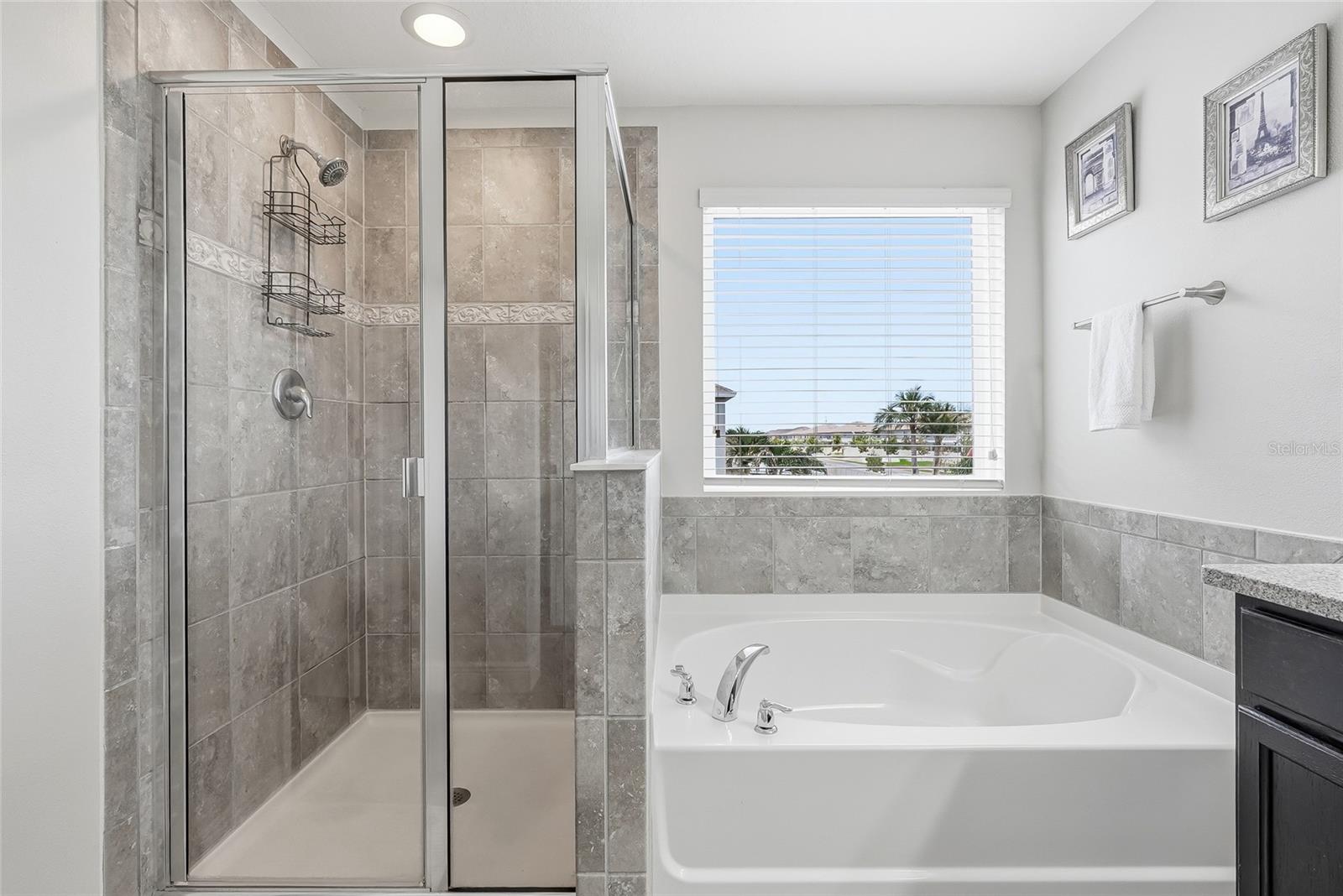 10229 NEWMINSTER LOOP — photo 30