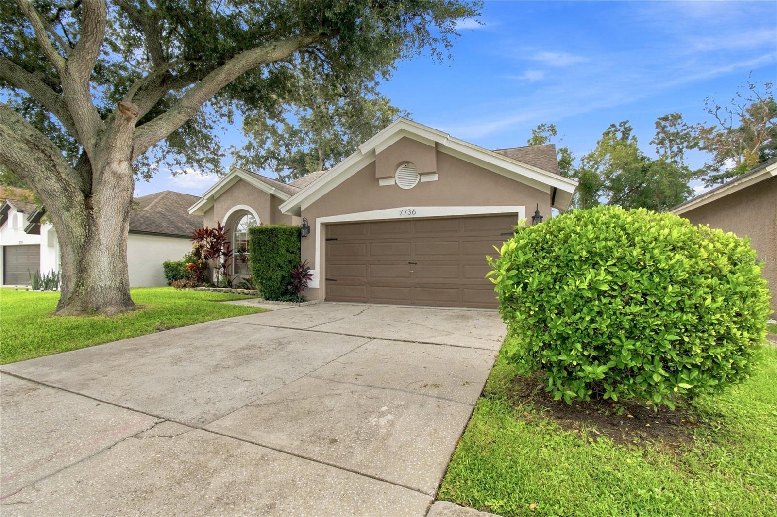 7736 MARBELLA CREEK AVE — photo 3