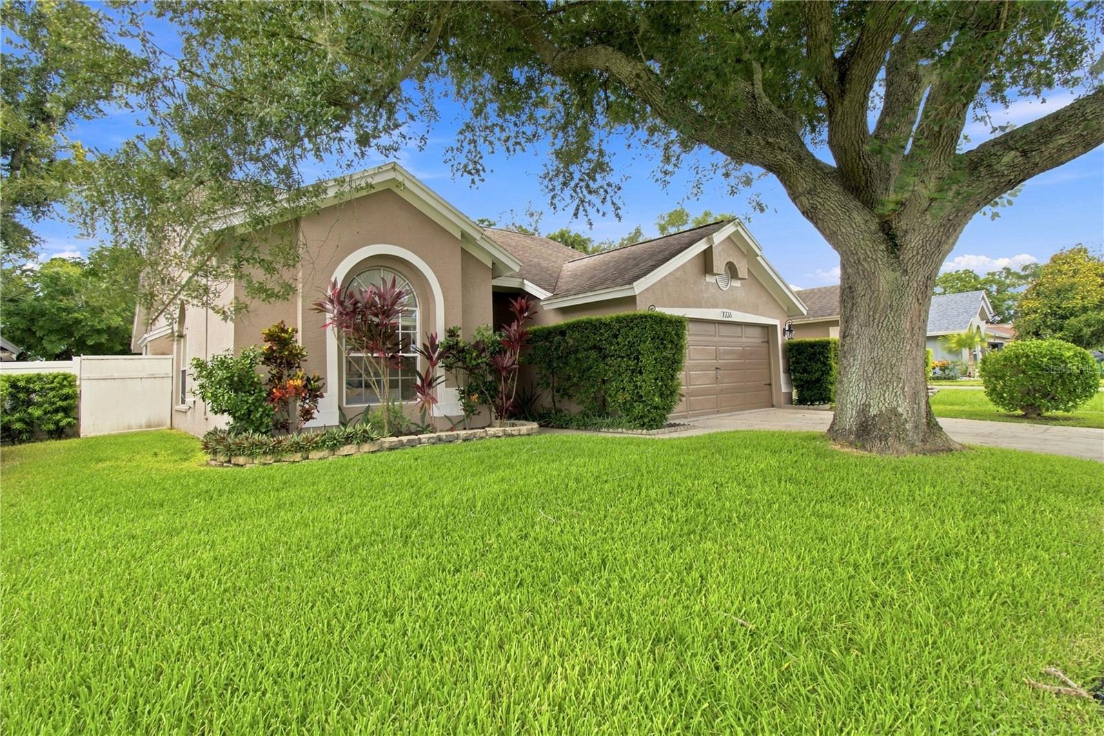 7736 MARBELLA CREEK AVE — photo 5