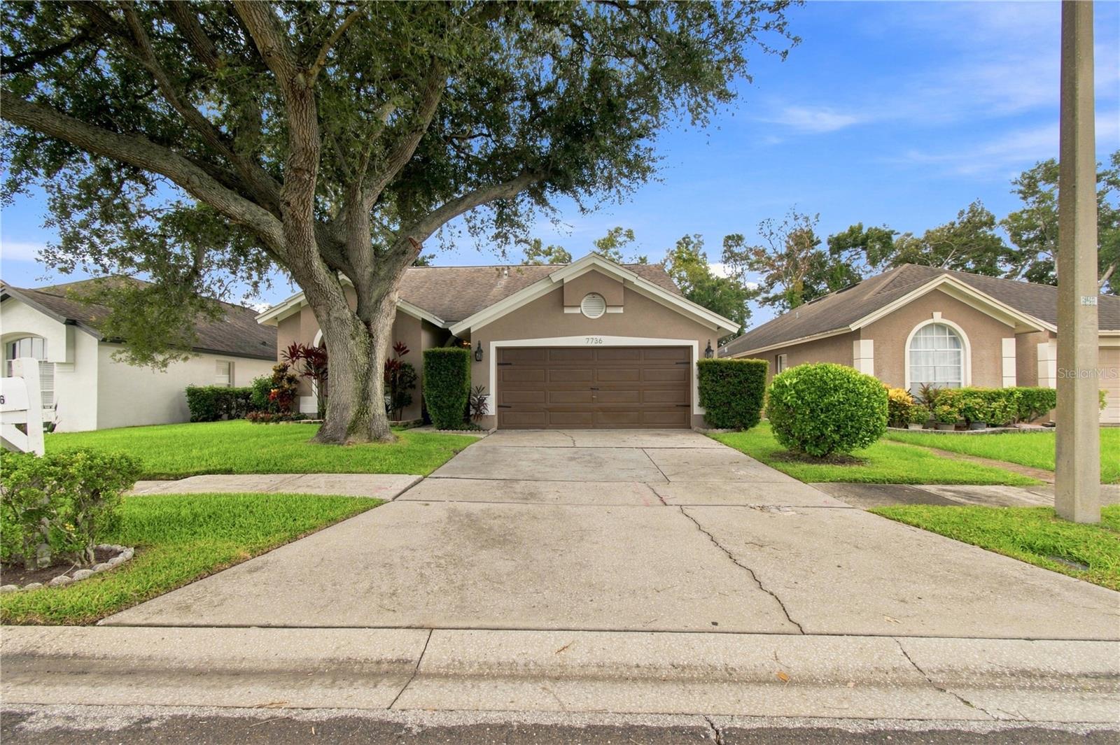 7736 MARBELLA CREEK AVE — photo 2