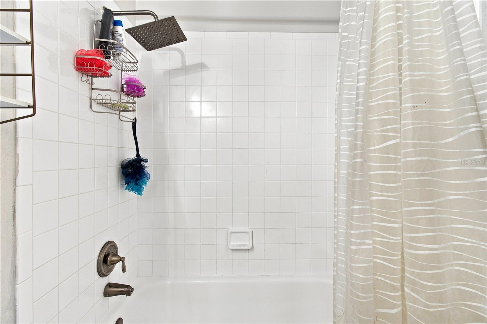 7736 MARBELLA CREEK AVE — photo 42