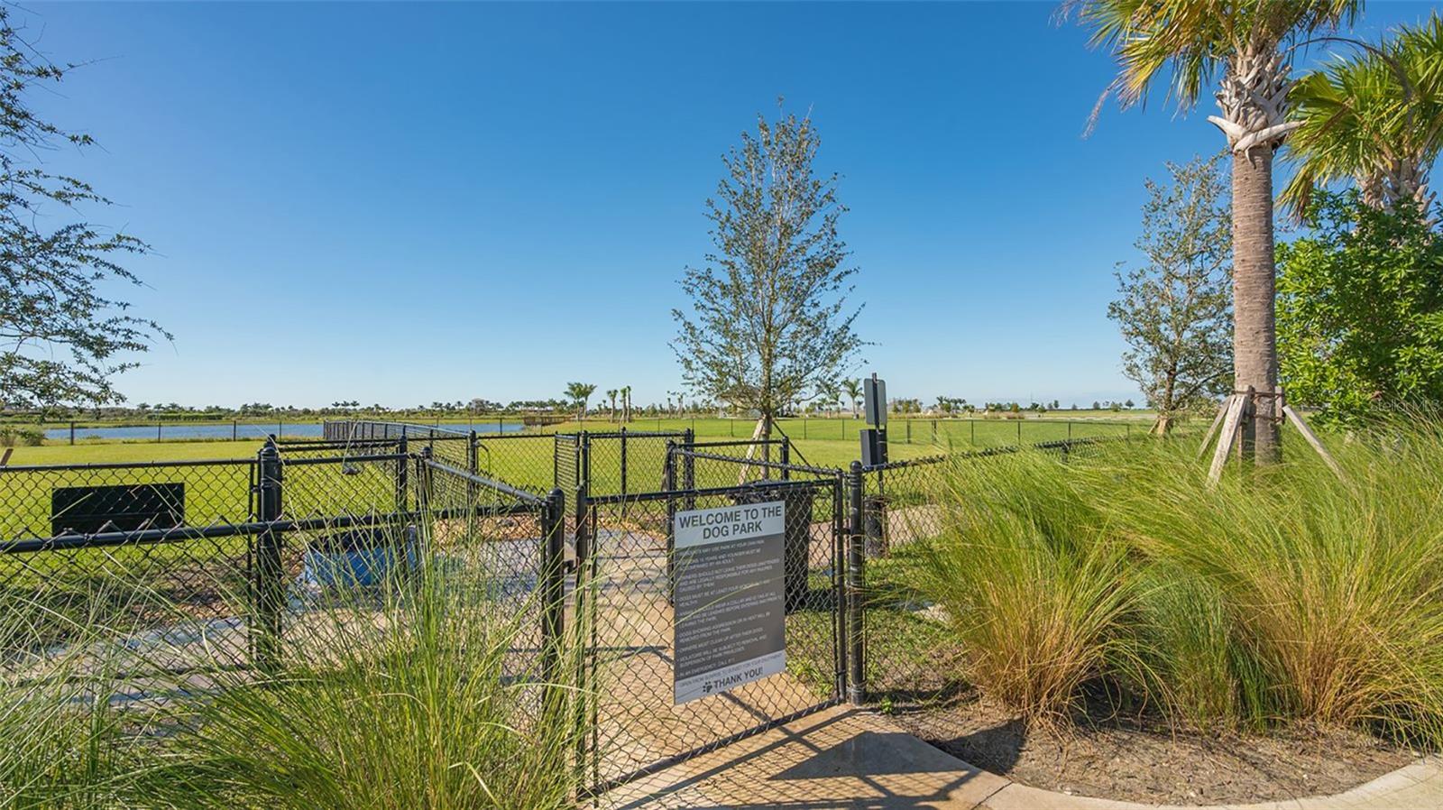 9483 TEQUILA SUNRISE DR — photo 51