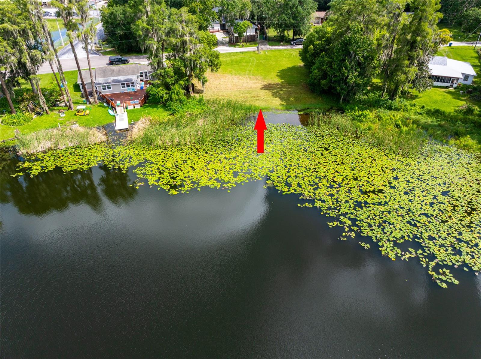 21414 LAKE SHARON DR — photo 12