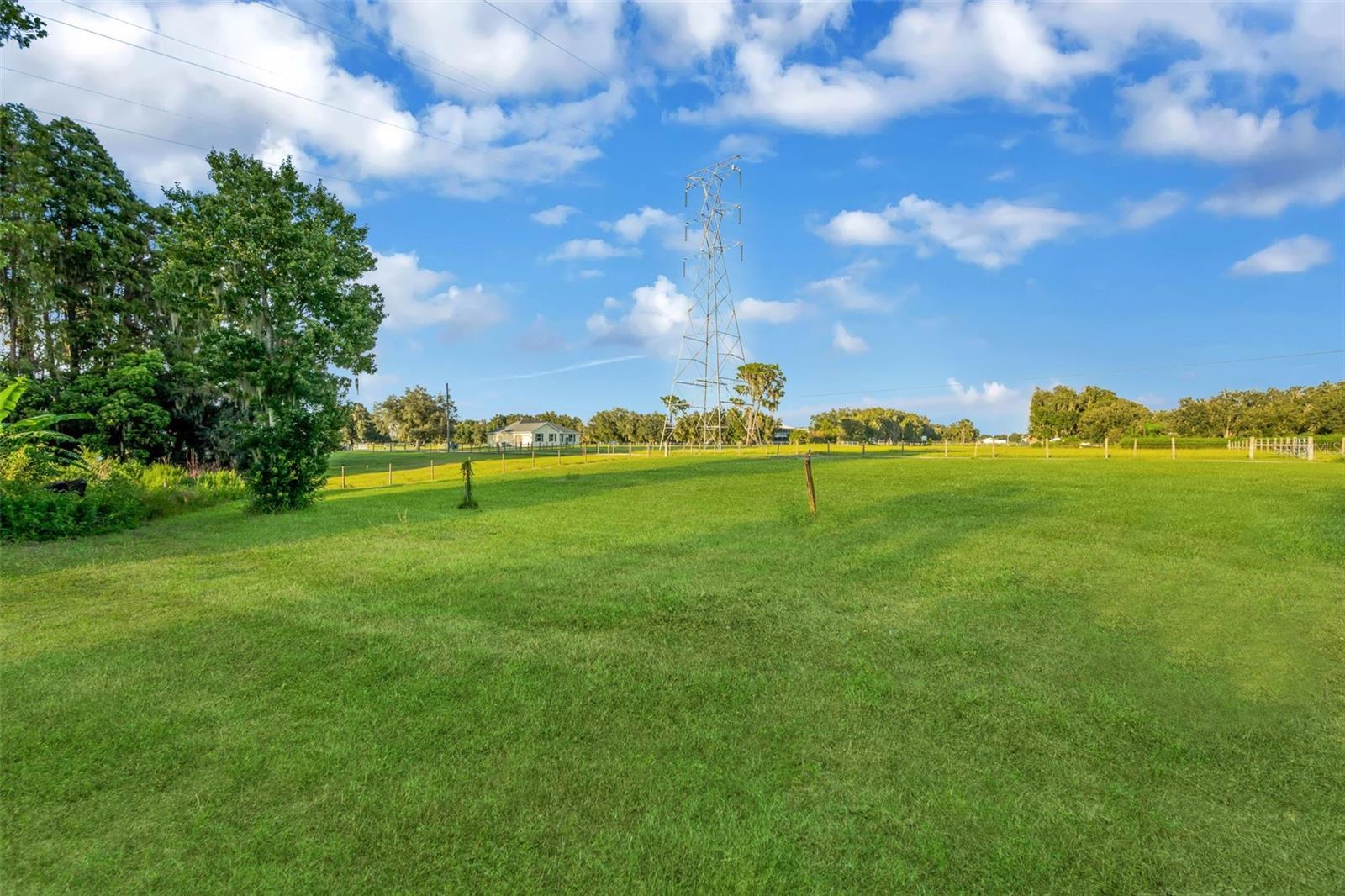 3858 E KNIGHTS GRIFFIN RD — photo 49