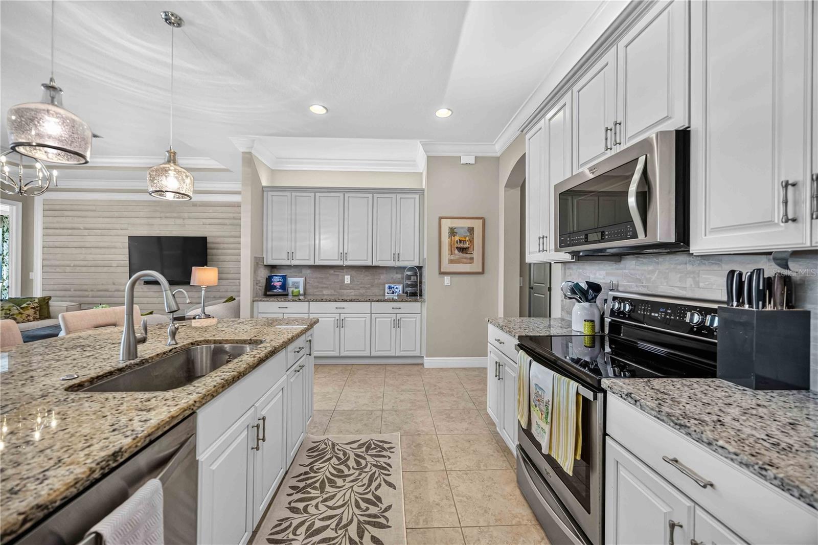 24232 GALLBERRY DR — photo 24